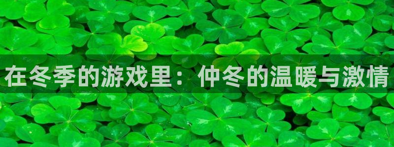 蓝冠娱乐网址注册：在冬季的游戏里：仲冬的温暖与激情