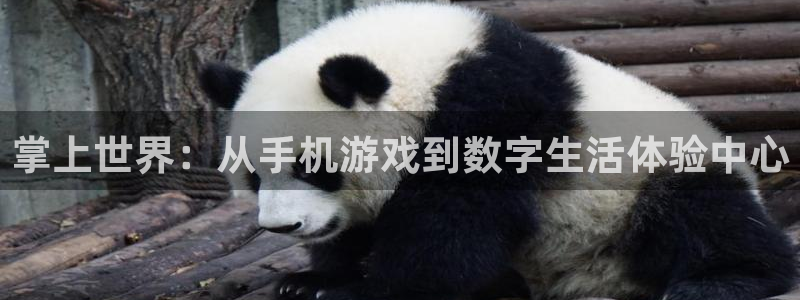 蓝冠娱乐4招商：掌上世界：从手机游戏到数字生活体验中心