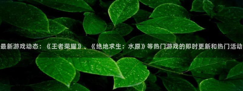 蓝冠娱乐的意思：最新游戏动态：《王者荣耀》、《绝地求生：水原