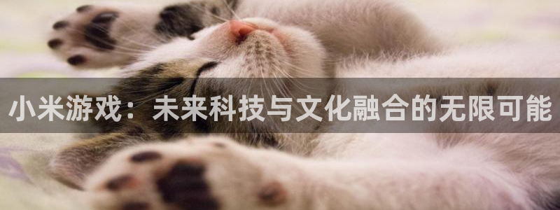 蓝冠娱乐app下载|下载地址：小米游戏：未来科技与文化融合的