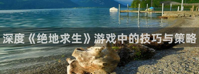 蓝冠娱乐官方注册登录：深度《绝地求生》游戏中的技巧与策略