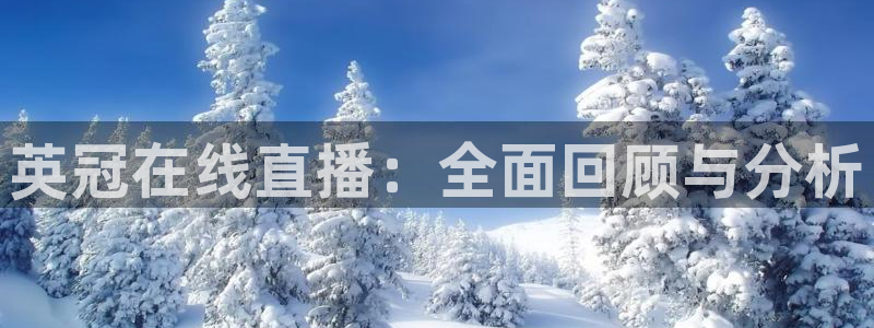 nba直播在线观看24直播网