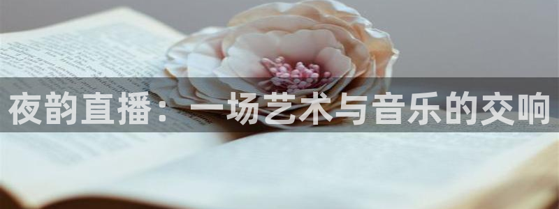 24直播篮球：夜韵直播：一场艺术与音乐的交响